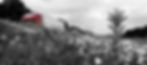 Truck Banner