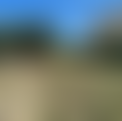 údržba zeleně. úklidová firma, úklid brno, úklid uman, uman, uman brno