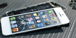 images (4)