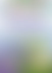 concours des maisons et balcons fleuris