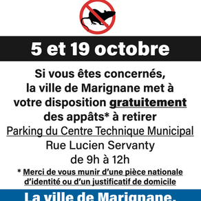 Campagne Dératisation 🐀