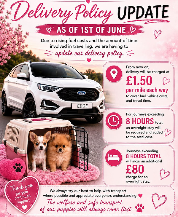 Car pricing .jpeg