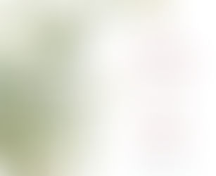 The Colors of Dawn: Twentieth-Century Korean Poetry