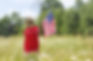 Patriotic Picture Hunt (All library locations)