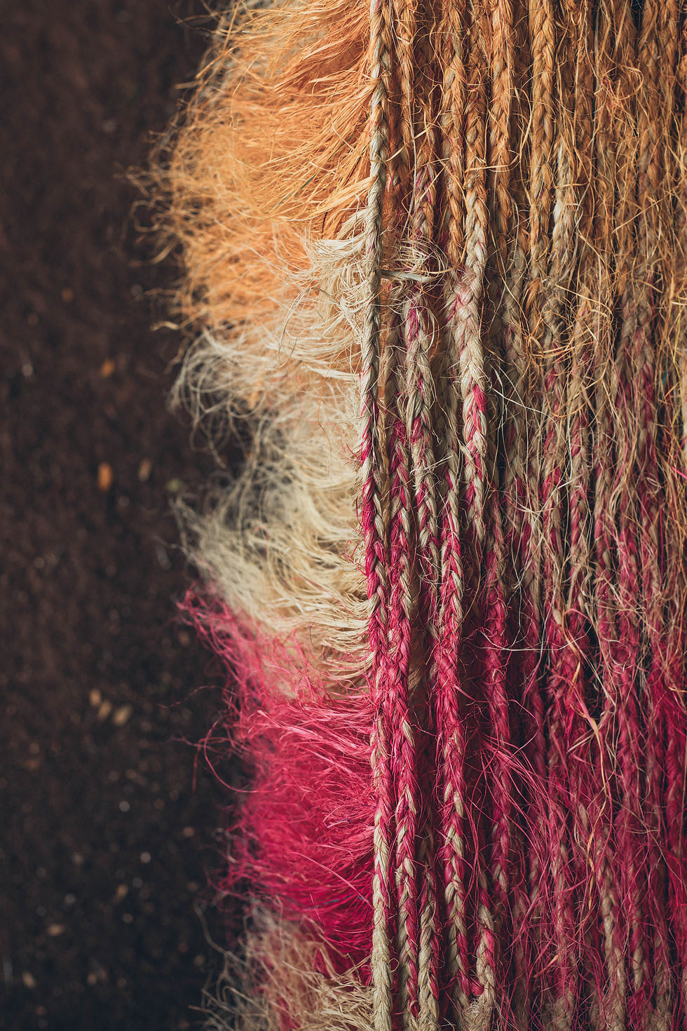 Miniatura: REDE DELTA