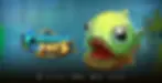 Piranha Pays Banner