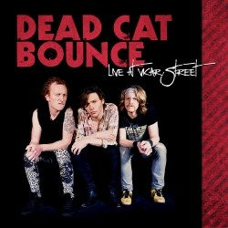 Dead Cat Bounce, live at Vicar Street Review