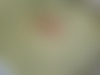 Brennesselsuppe nach türkischer Art