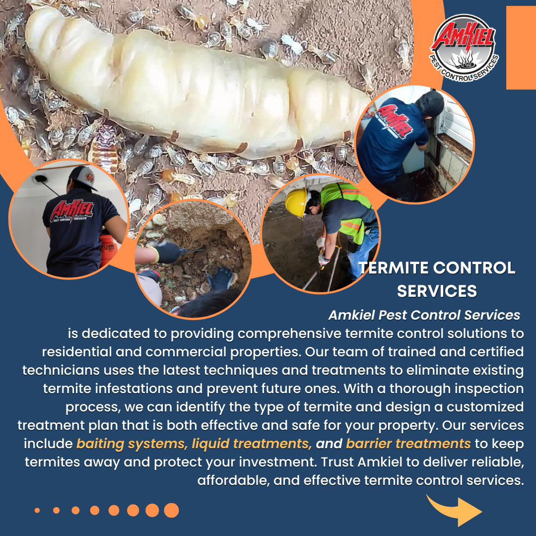 TERMITE CONTROL PROGRAM