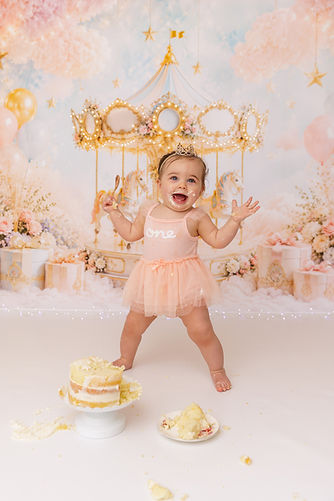 hooksett nh smash cake photographers.jpg