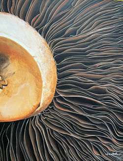 Champignon