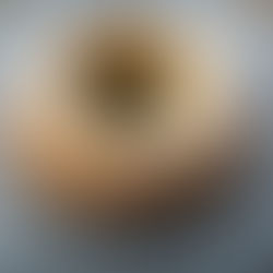 Queque zanahoria Thermomix