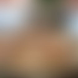 Berlines con crema pastelera