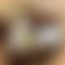 Rollos de papel de arroz