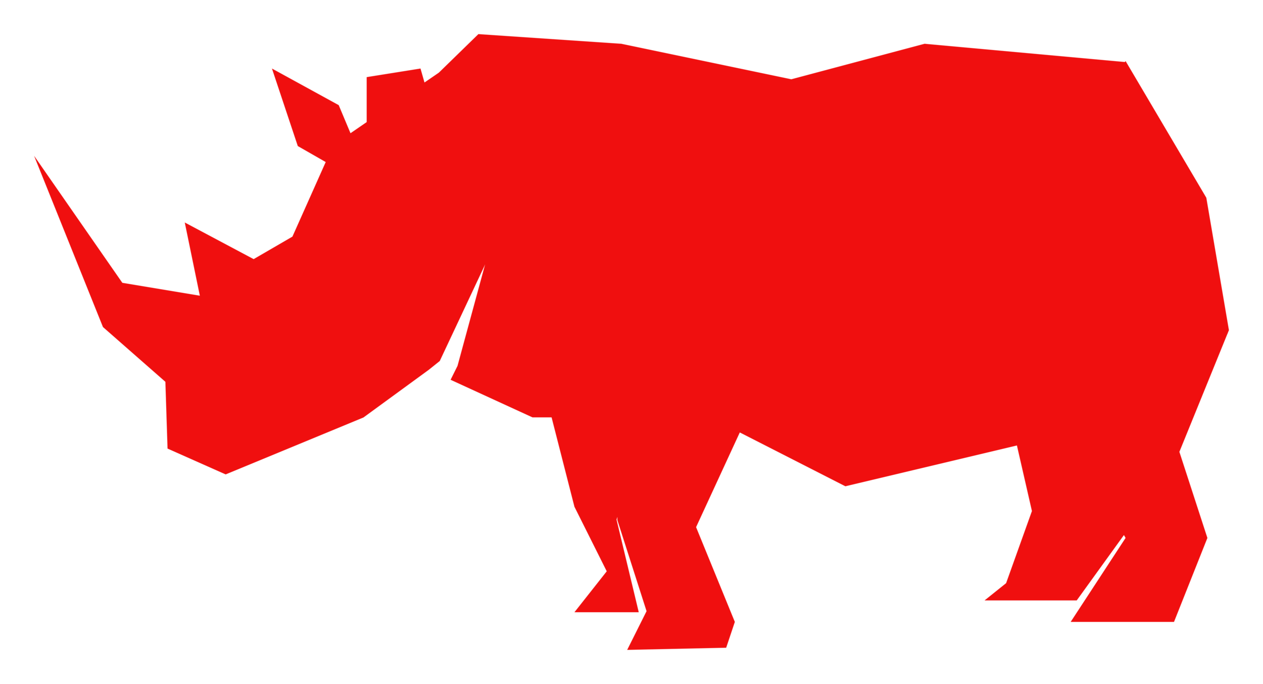 Rhino Logo.webp