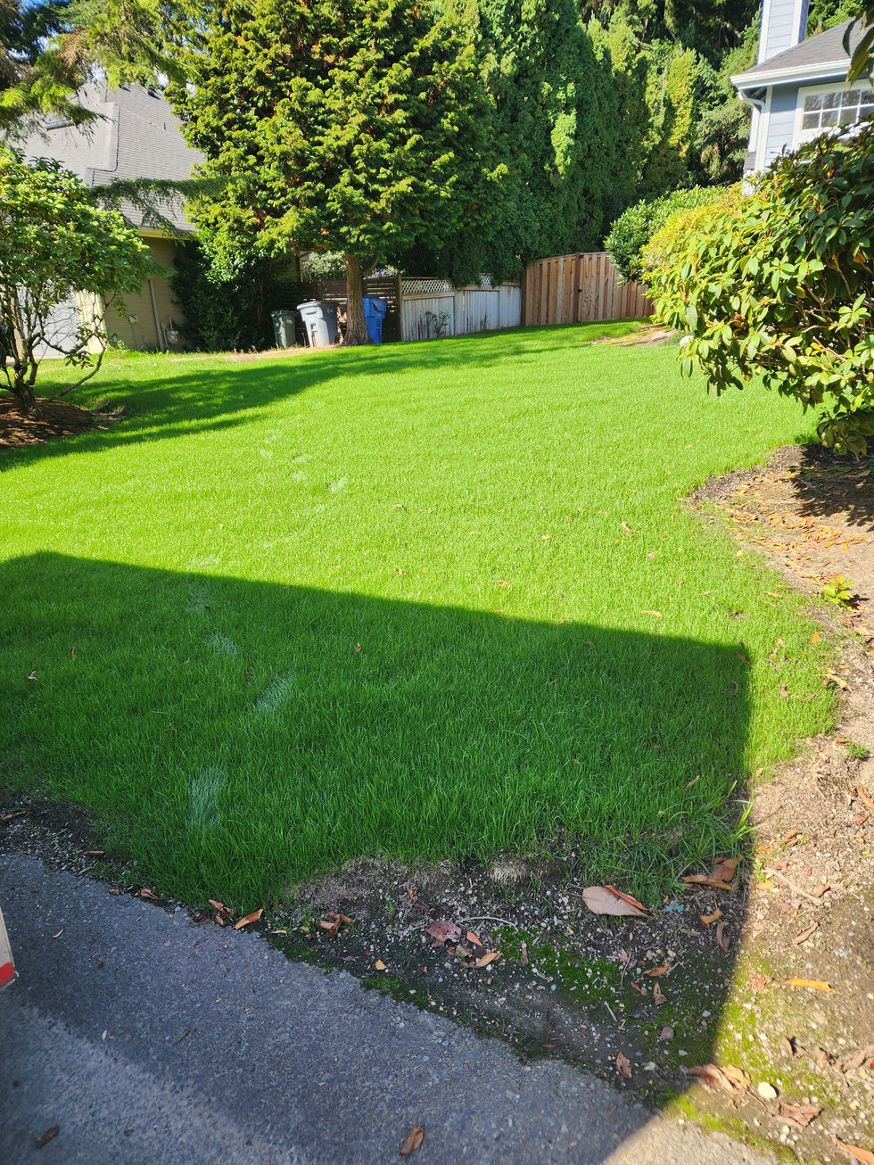 grass seed, lawn care, yard maintenance, grass, mowing, edged, edging, trimmer, trimmed, healthy lawn, healthy green grass, greenery