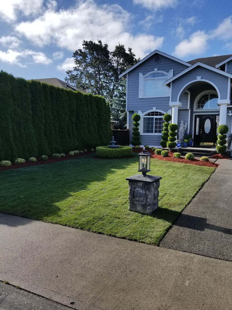 Landscape, landscaping contractor, yard maintenance, trimming, mulch spreading, raking, cleaning, mowing, pruning, general contractor, landscaper, planting, yard design