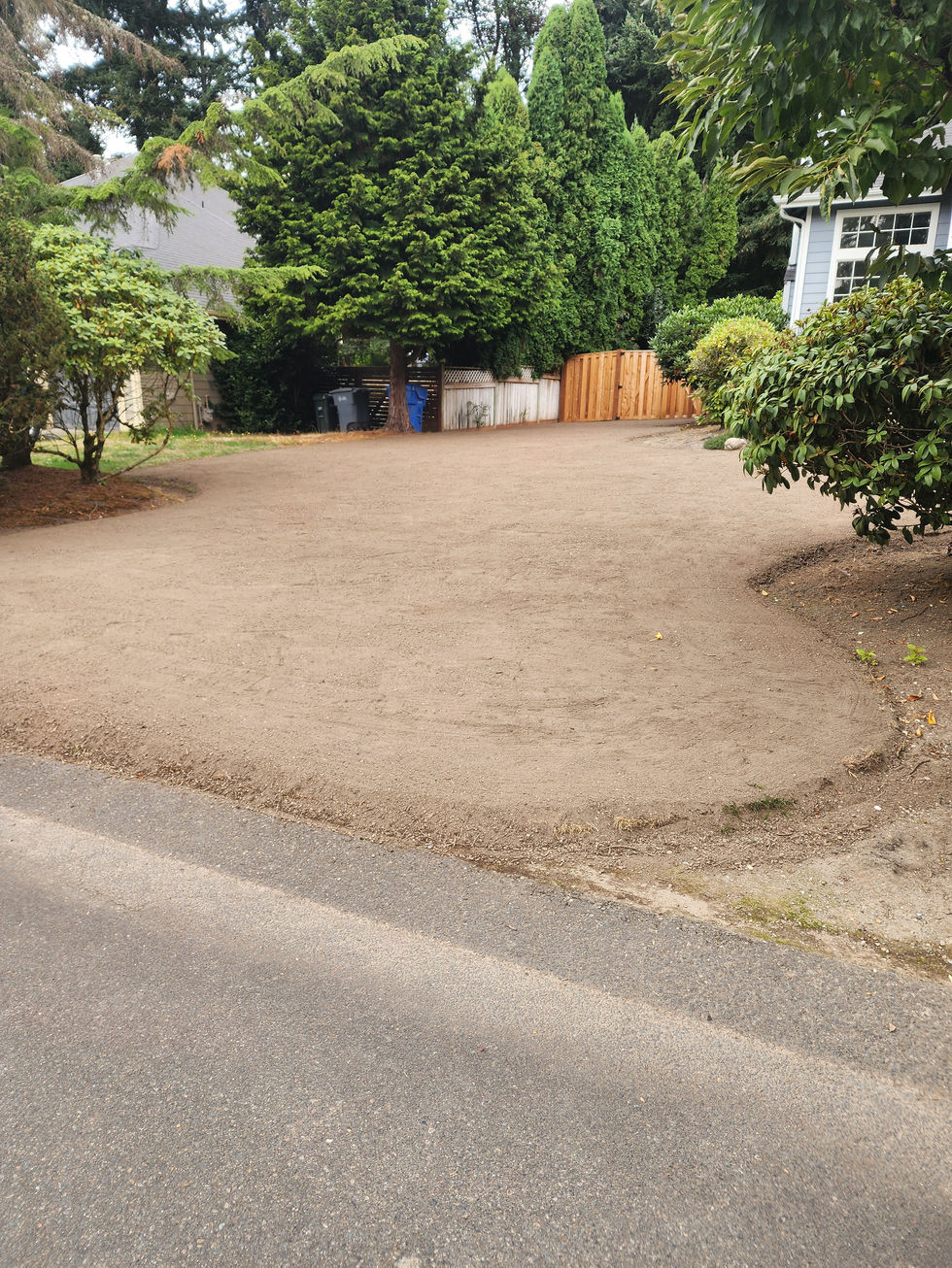 grass removal, tear-down, lawn care, yard maintenance, grass, mowing, edged, edging, trimmer, trimmed, healthy lawn, healthy green grass, greenery