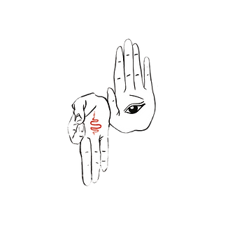 IMG_1187 (1).PNG