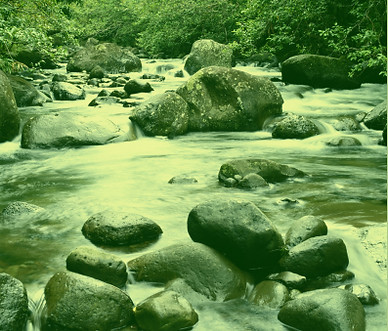 Stream with Filter