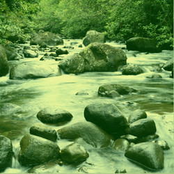 Stream with Filter