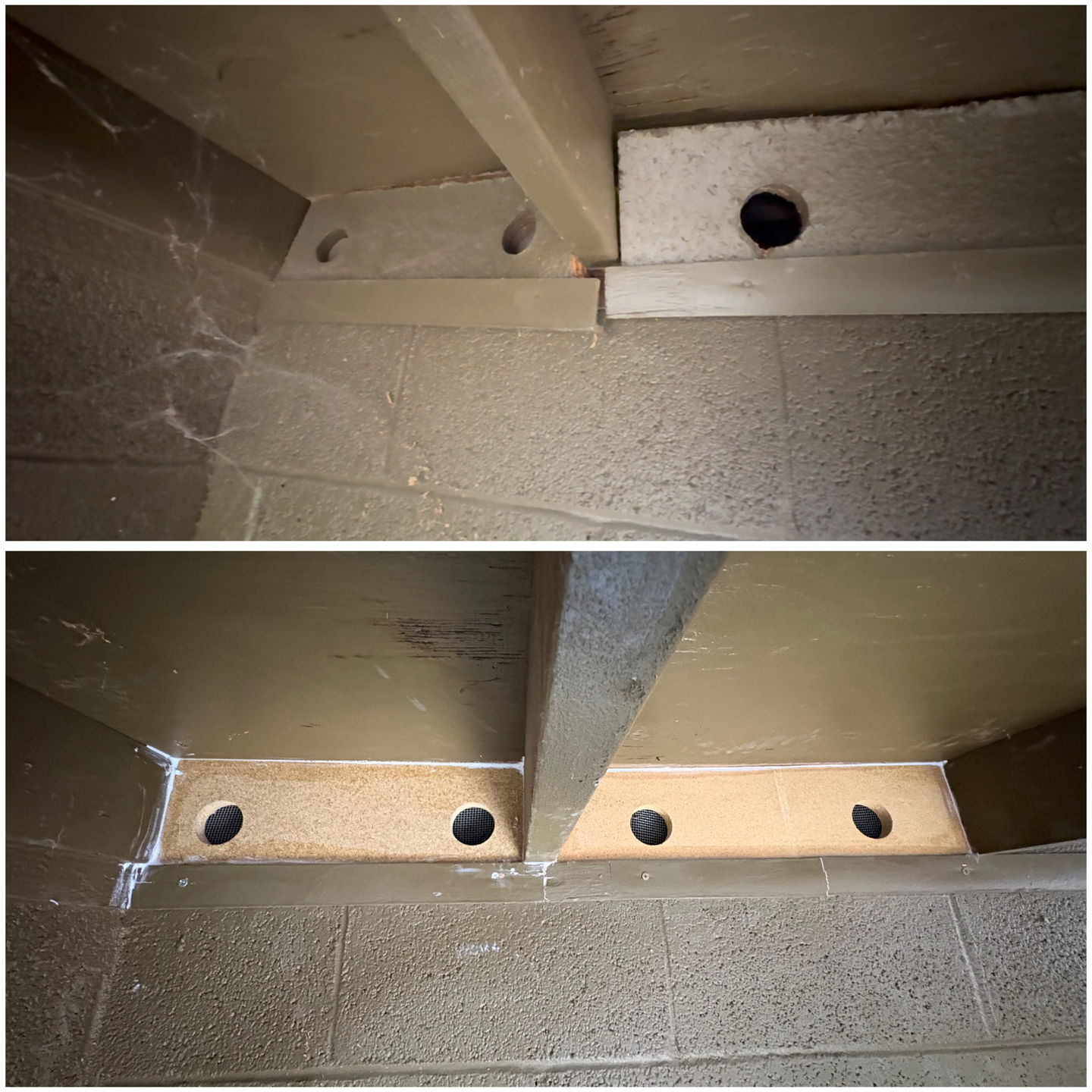 Bird-Board Repair