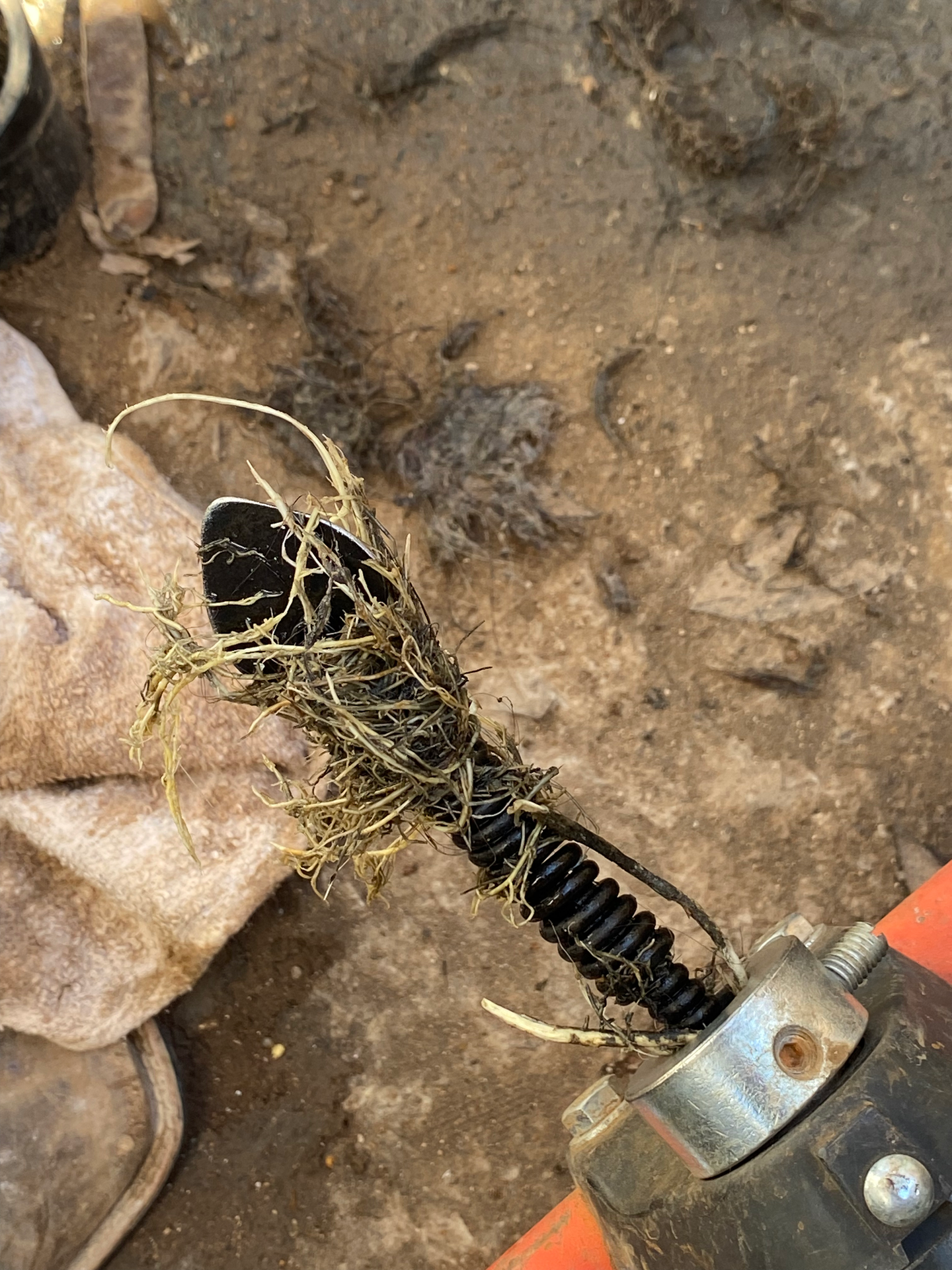 Drain Cleaning