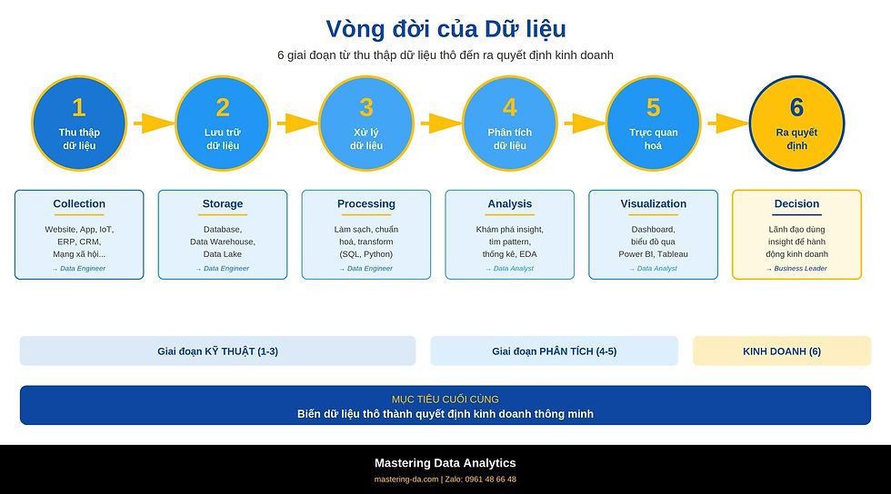 Sơ đồ vòng đời dữ liệu (Data Lifecycle) gồm 6 giai đoạn từ Collection - Storage - Processing - Analysis - Visualization - Decision, phân nhóm theo vai trò Data Engineer, Data Analyst và Business Leader