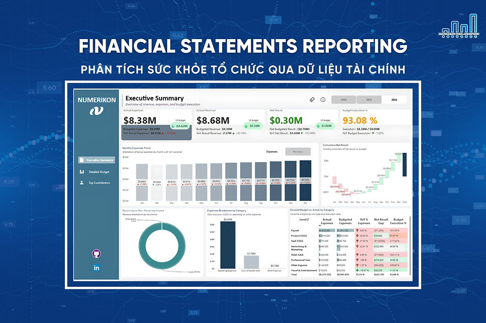 Financial Statements Reporting - Bộ dữ liệu cực hay để luyện Executive Dashboard & Financial Analytics