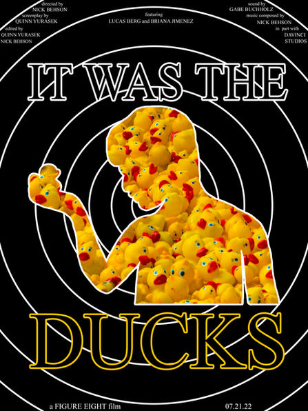 IT WAS THE DUCKS