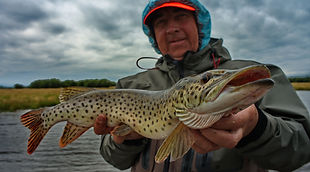 рыболовный тур щука