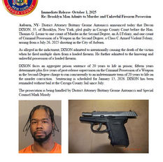 Brooklyn Man Admits to Murder Charge