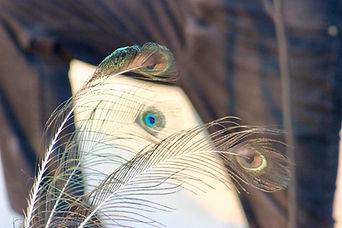 IMG_9900.jpeg