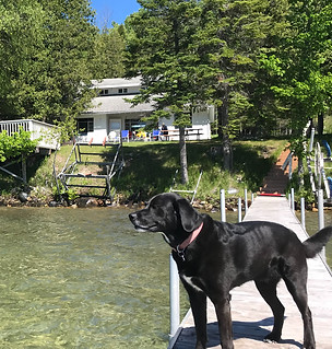 Lakefront cottage with dock on Torch Lake, Michigan