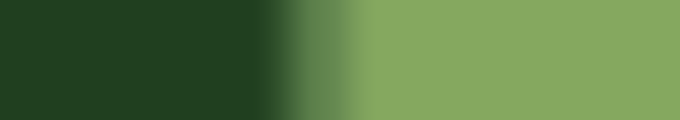 banner.png