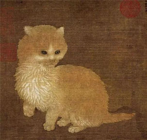 李迪狸奴小影圖.jpg