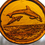 Thumbnail: Dolphins