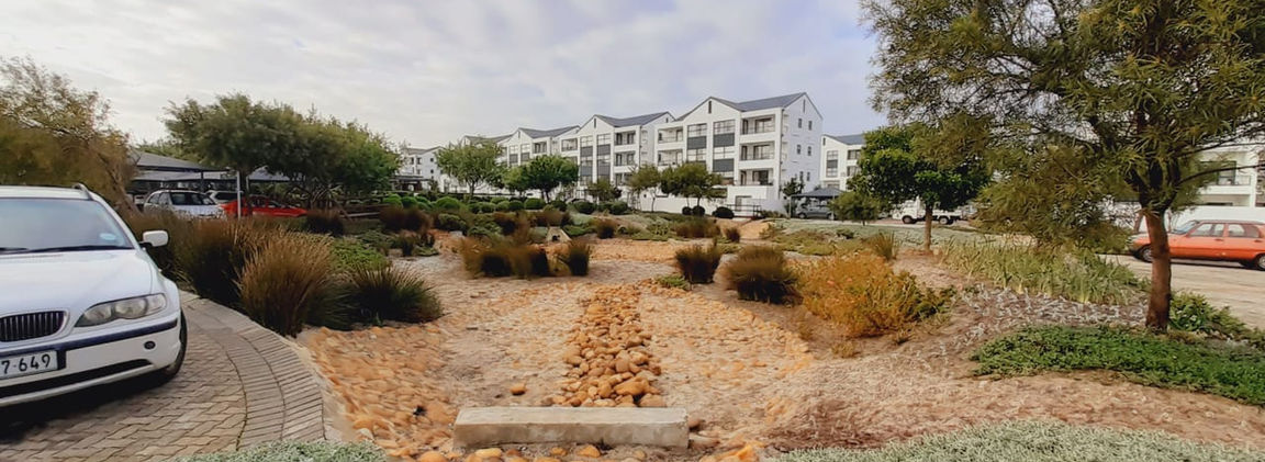 Jubelius Gardens - Landscaping Cape Town 026