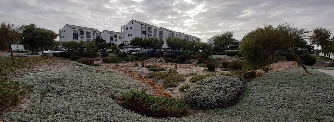 Jubelius Gardens - Landscaping Cape Town 021