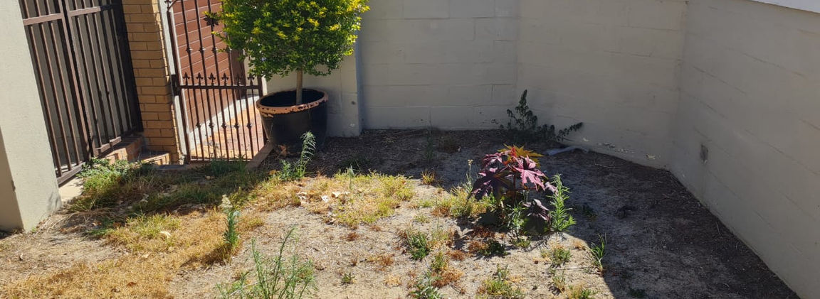 Jubelius Gardens - Landscaping Cape Town 012