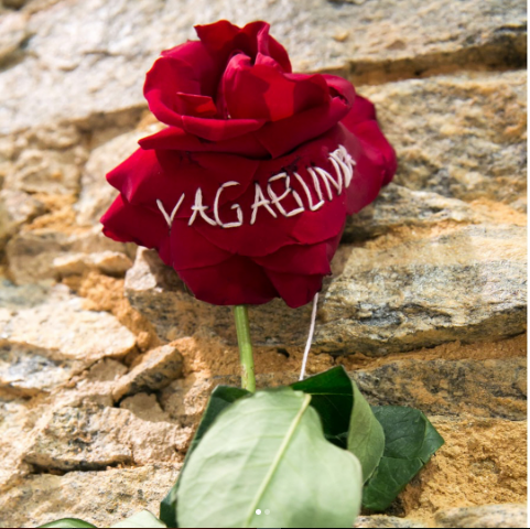 VOGUE BRASIL