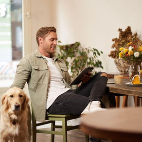 From Oven to Open Sign: Building a Pet Treat Bakery That Lasts.