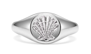 Platinum signet ring with shell design surface engraved