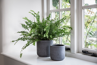 Set of 2 Stratton Straight Plant Pots in Carbon - Cement - SPCN02_edited.png