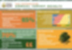 annual survey infographic flat1