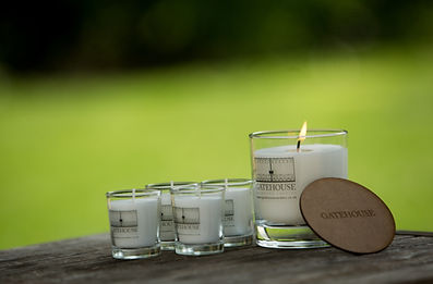 VOTIVES + 120 GRAM CANDLE.jpeg