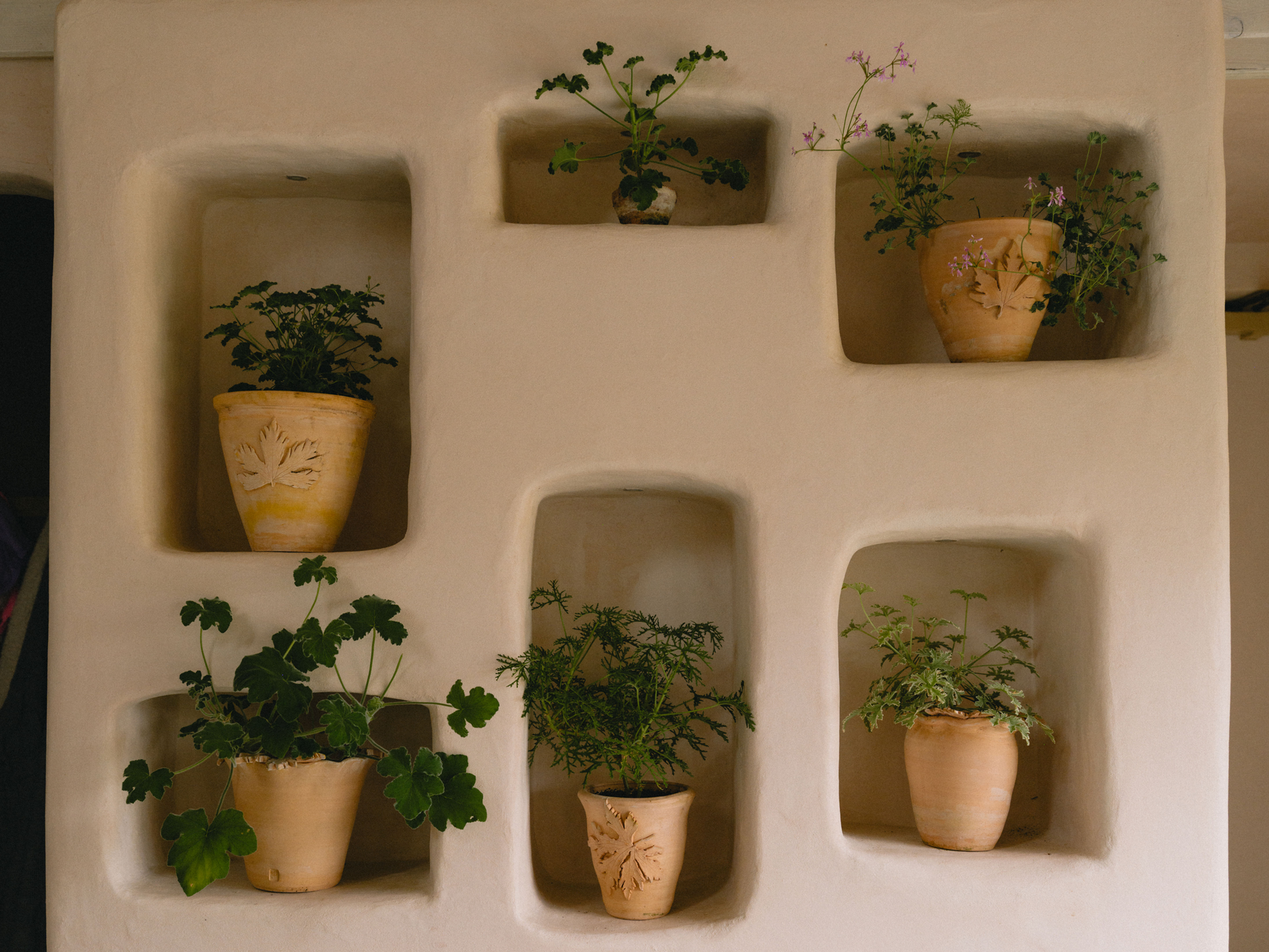 Pelargonium leaf designs pressed on to front of hand made flower pots displayed in multiple apertures