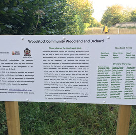 sustainable woodstock 8