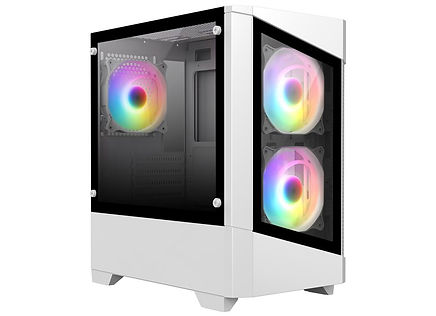 CIT-LEVEL1-GW-BT (1).jpg