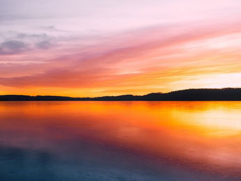 愛會永遠留下來